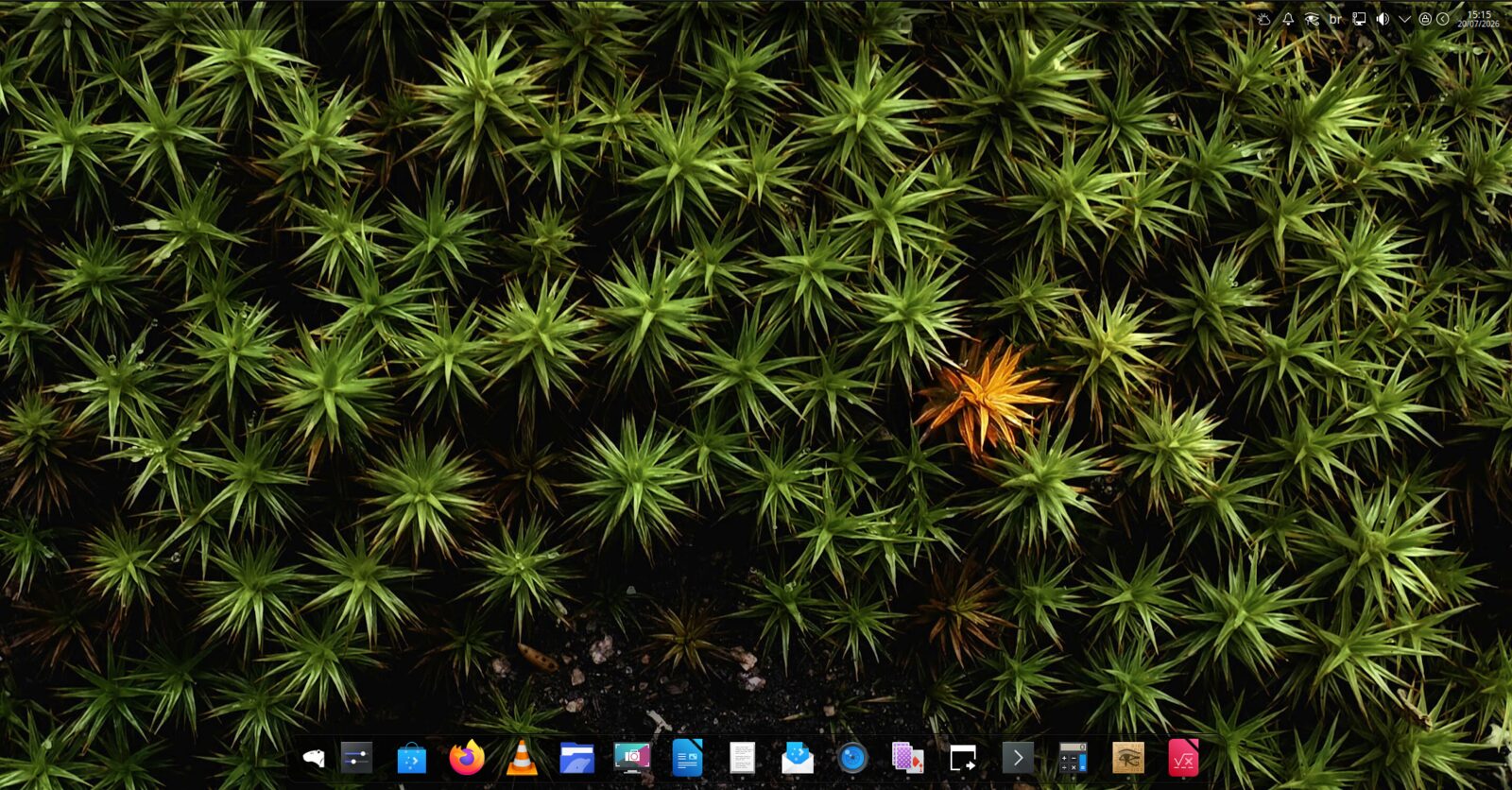 CapivaraOS Marsh desktop with a green moss wallpaper